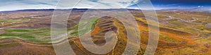 California super bloom poppy field