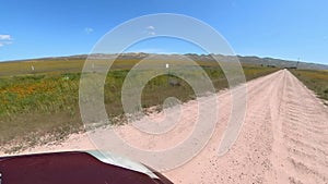 California Super Bloom Wild Flowers Driving Plate Front Left View 01 Carrizo Plain National Monument USA