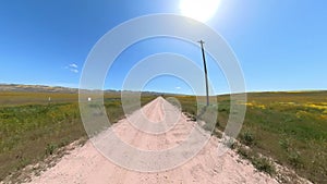 California Super Bloom Wild Flowers Driving Plate Front View 01 Carrizo Plain National Monument USA