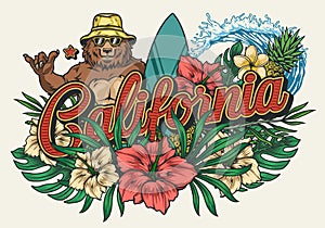 California surfing vintage colorful emblem