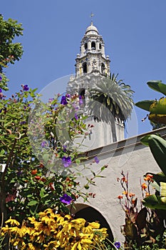 The California Tower in Balboa Park Viewed from the Alcazar Gardens