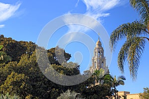 California Tower overlooking Balboa Park in San Diego