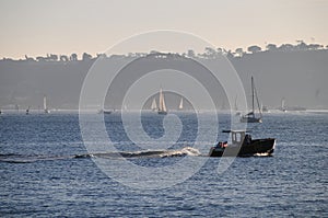 California Travels - Sailboats on San Diego Harbor at Point Loma