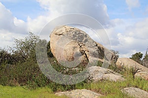California Wildlife Series - Ramona Grasslands Preserve - Oak Tree with Rocks