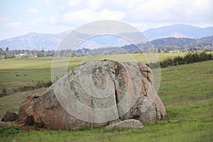 California Wildlife Series - Ramona Grasslands Preserve - Oak Tree with Rocks