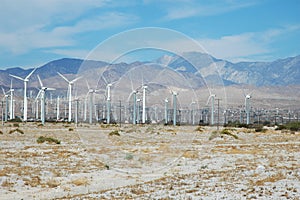 California Windfarm