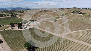California Wine Country Paso Robles Vineyard Aerial Shot Back