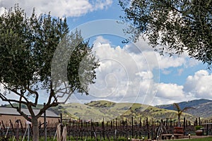 California winery near Livermore