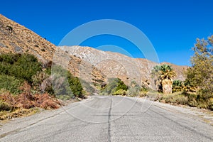 Californian Desert Landscape