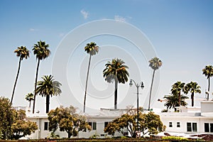 Californian palm trees with villa