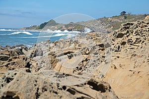 Californian shore with structured foreground