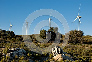 Californian Windfarm