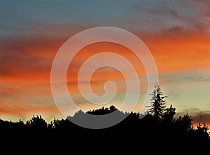 Californnia Sunset with Hills and Trees