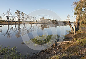 Caliguel lagoon near Condamine, Queensland photo