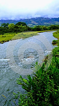 Calima River photo