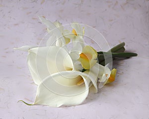 Calla lilies with iris