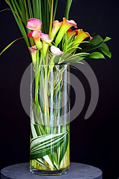Calla Lilies in Vase