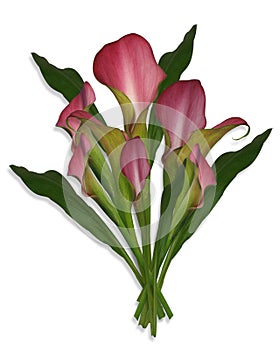 Calla lily bouquet