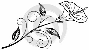 Calla lily branch design, graceful botanical element vector design Generative AI