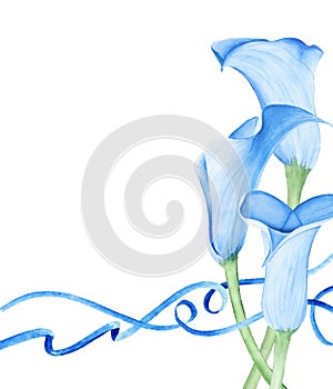 Calla Lily Flowers and Blue Ribbons.