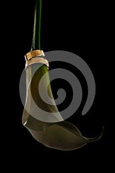 Calla lily and wedding wedding rings