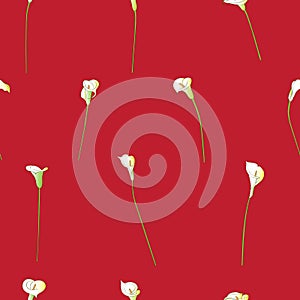 Calla sparse pattern on red
