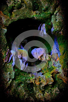 Callao cave chamber one, cagayan, philippines