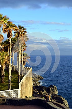 Callao Salvaje coast in Adeje Tenerife photo