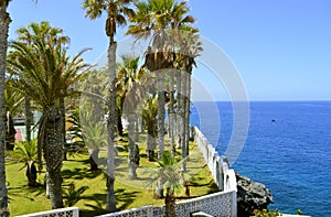 Callao Salvaje coast in Tenerife