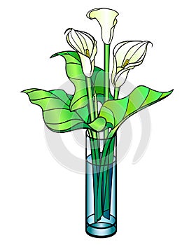 Callas. Bouquet in a glass vase - vector full color illustration. Callas are flowers and leaves in a straight cylindrical vase. Wh