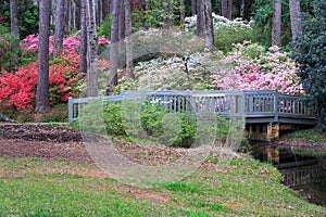 Callaway Gardens Azalea Overlook Pine Mountain Georgia