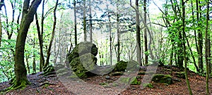 The so called Magnetsteine - magnetic rocks - near Castle Frankenstein, Odenwald Germany