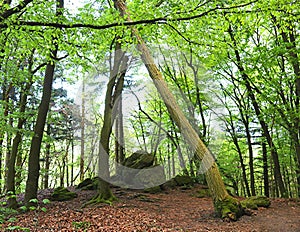 The so called Magnetsteine -magnetic rocks - near Castle Frankenstein, Odenwald Germany