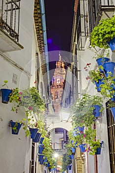Calleja de las Flores in Cordoba, Andalusia, Spain. photo