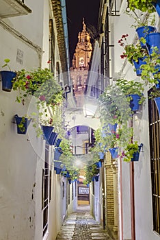 Calleja de las Flores in Cordoba, Andalusia, Spain. photo