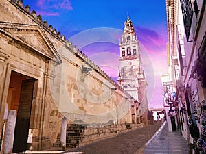 The Calleja de las Flores is one of the most popular tourist streets of CÃÂ³rdoba city in Andalusia, Spain photo
