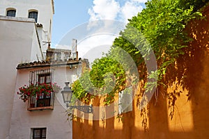 Callejon Agua street in Seville Andalusia spain