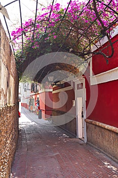 Callejon Agua street in Seville Andalusia spain photo