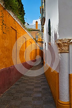 Callejon Agua street in Seville Andalusia spain photo