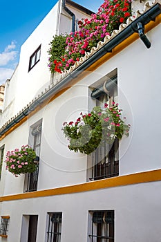 Callejon Agua street in Seville Andalusia spain photo