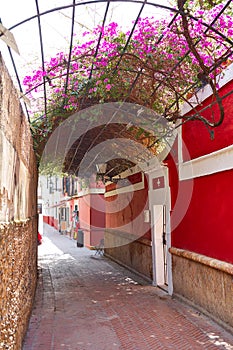 Callejon Agua street in Seville Andalusia spain photo