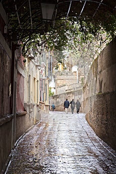 Callejon de Aguas Street, Santa Cruz Neighborhood; Seville