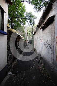 The Callejon del Agacate Avocado Alley in Mexico City