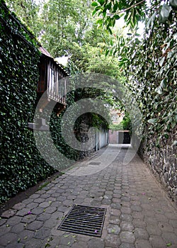 The Callejon del Agacate Avocado Alley in Mexico City