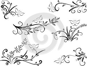 Calligraphic decorative elements butterfly flowers leaf plant with lines