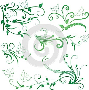 Calligraphic decorative elements butterfly flowers leaf plant with lines