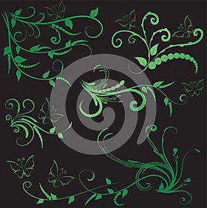 Calligraphic decorative elements butterfly flowers leaf plant with lines