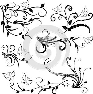 Calligraphic decorative elements butterfly flowers leaf plant with lines