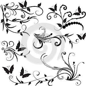 Calligraphic decorative elements butterfly flowers leaf plant with lines