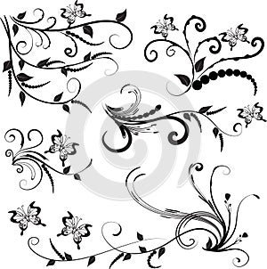 Calligraphic decorative elements butterfly flowers leaf plant with lines